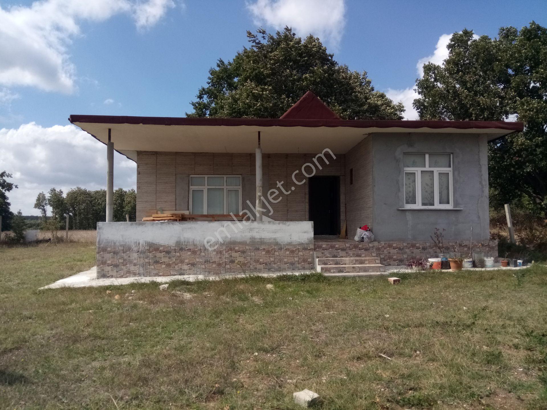 Acil, Çatalça Binkılıç, Ev, Yol, Doğa - Görsel 10