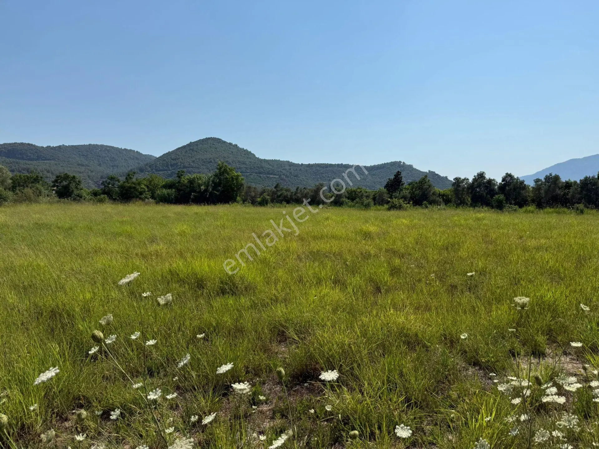 Ortaca Fevziye'de Doğa Manzaralı 4542 M² Villa İmarlı Arsa - Görsel 33