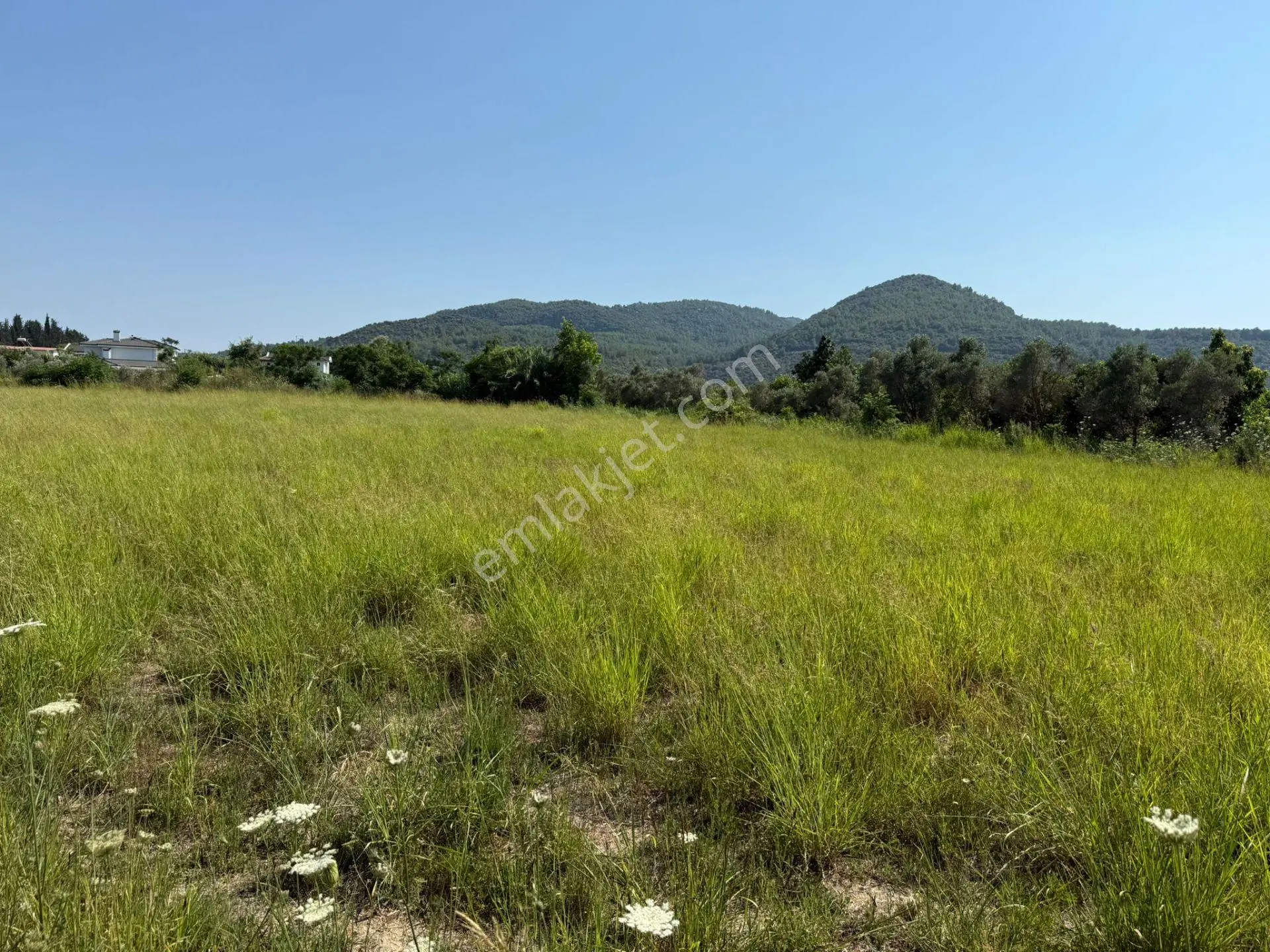 Ortaca Fevziye'de Doğa Manzaralı 4542 M² Villa İmarlı Arsa - Görsel 15