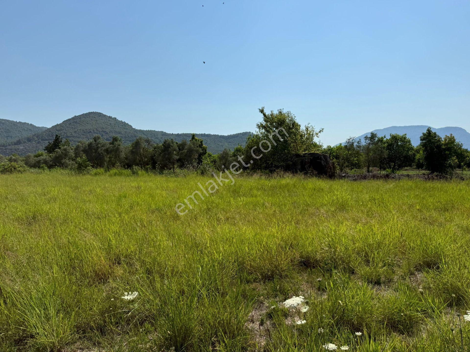Ortaca Fevziye'de Doğa Manzaralı 4542 M² Villa İmarlı Arsa - Görsel 12