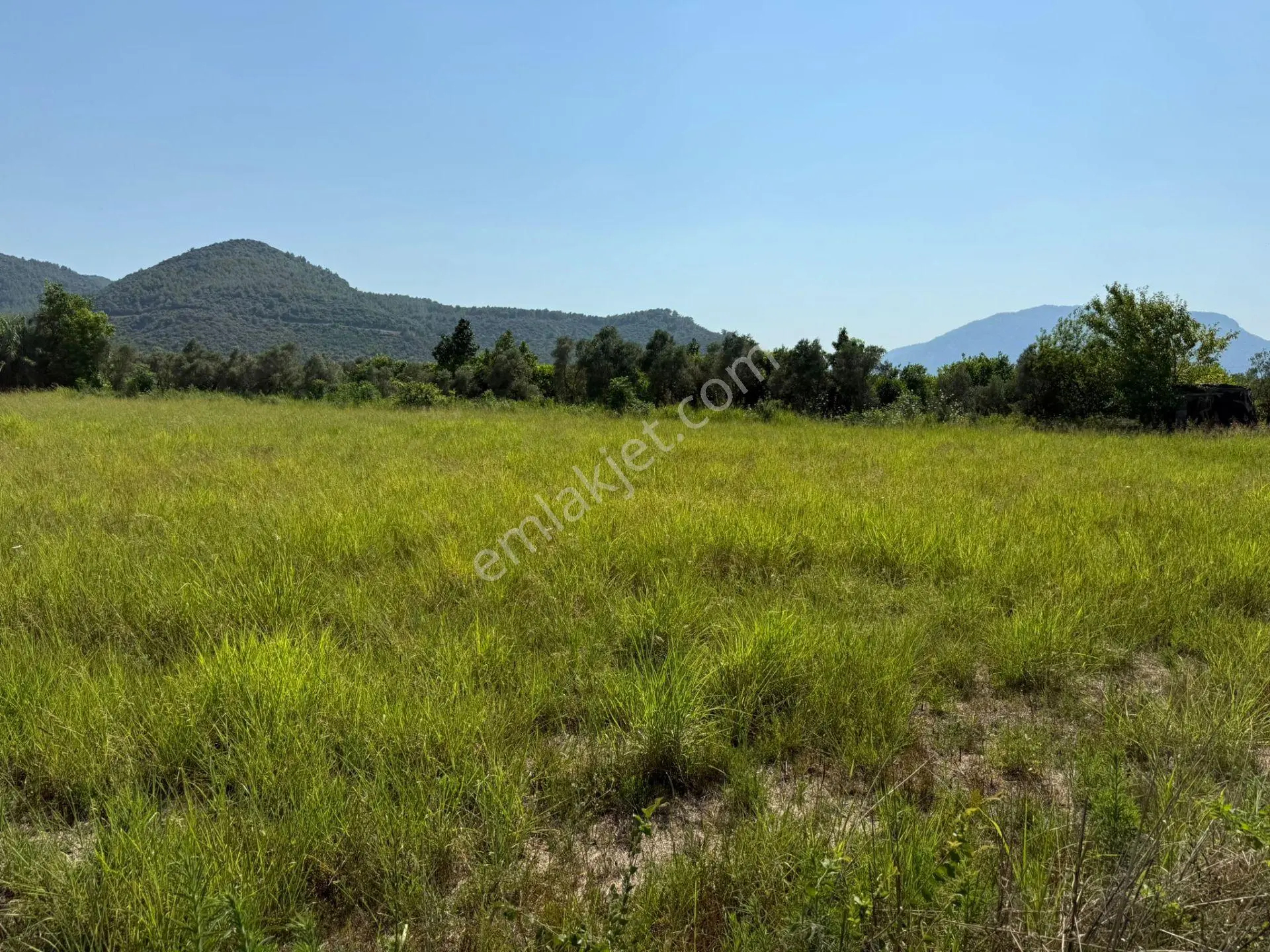 Ortaca Fevziye'de Doğa Manzaralı 4542 M² Villa İmarlı Arsa - Görsel 20