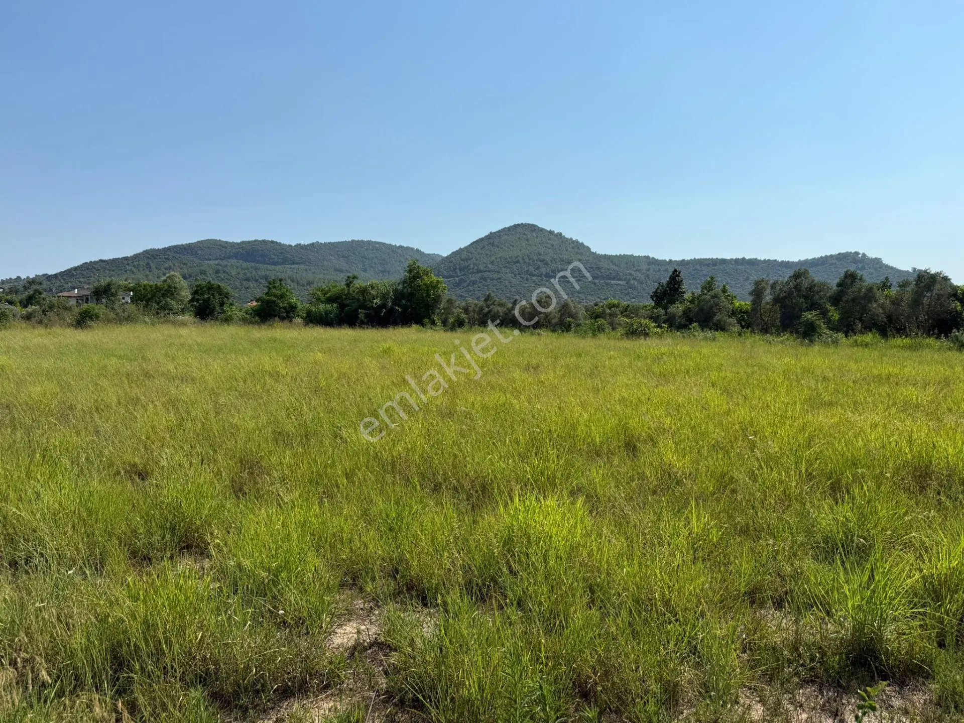 Ortaca Fevziye'de Doğa Manzaralı 4542 M² Villa İmarlı Arsa - Görsel 22