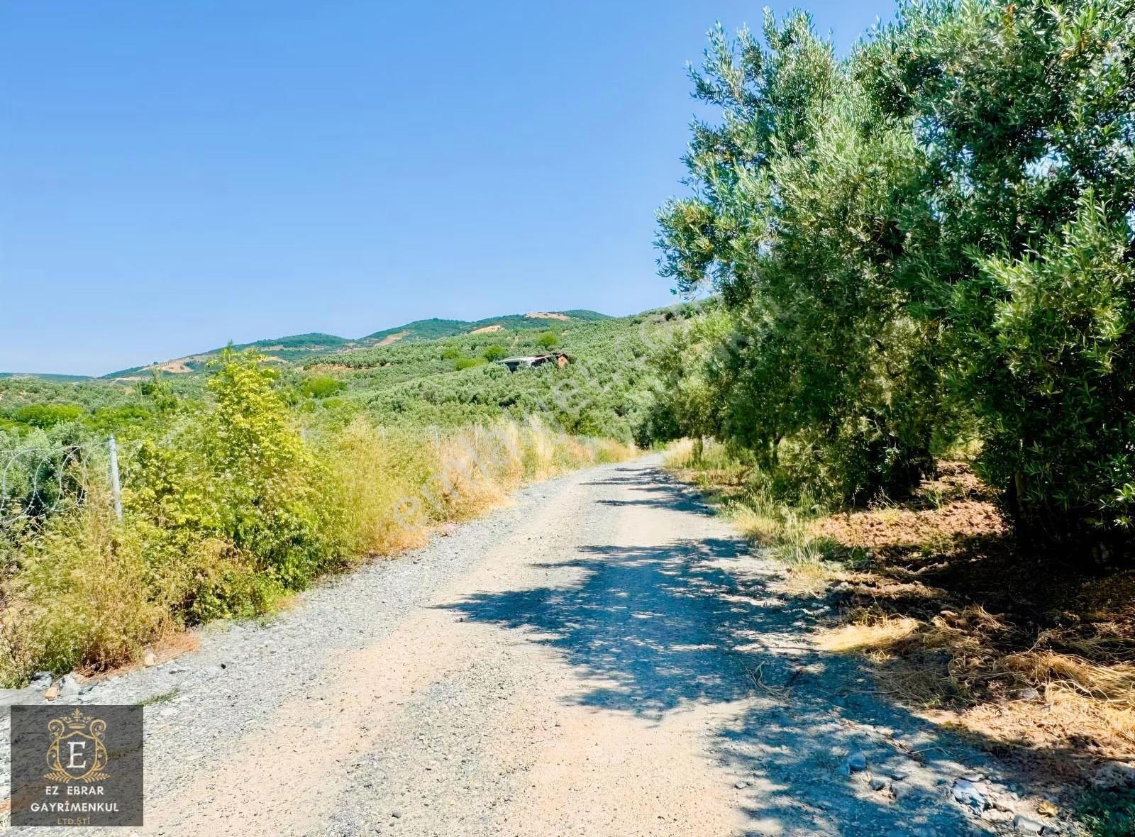 Bursa Mudanya Dereköy'de Satılık 1.100 M² Yatırımlık Arazi - Görsel 11
