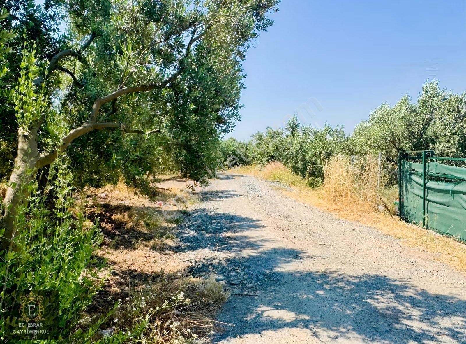Bursa Mudanya Dereköy'de Satılık 1.100 M² Yatırımlık Arazi - Görsel 12
