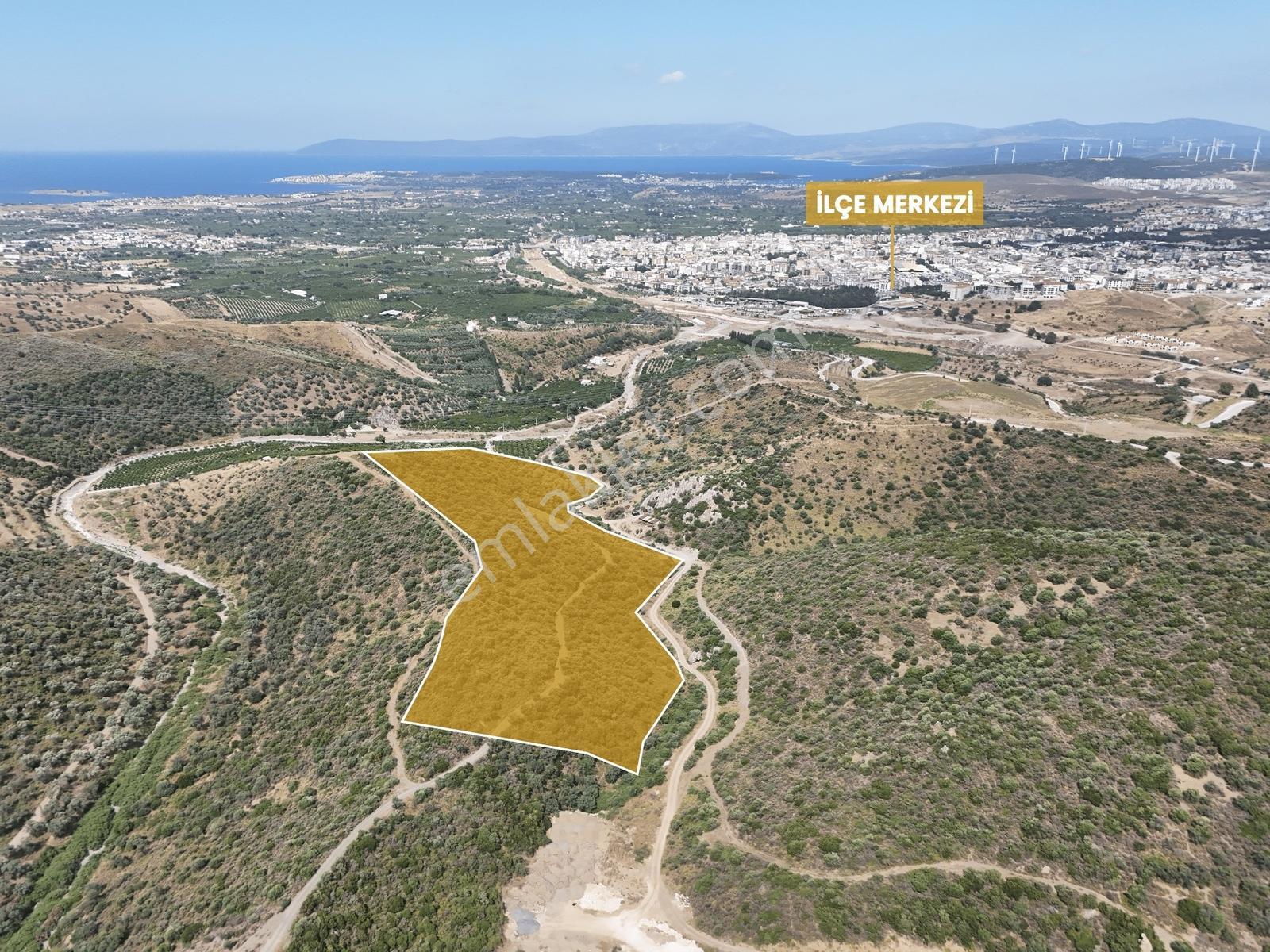 İlçe Merkezinin Hemen Yanında 46.457 M² Zeytinlik - Ahmet Arslan - Görsel 2