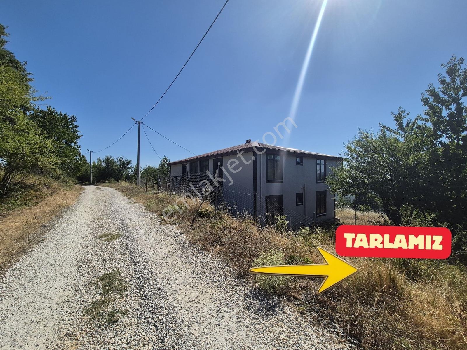 Ay Emlak'tan Armutlu Selimiye Köyü Mücavir Alan İçinde Tarla - Görsel 2