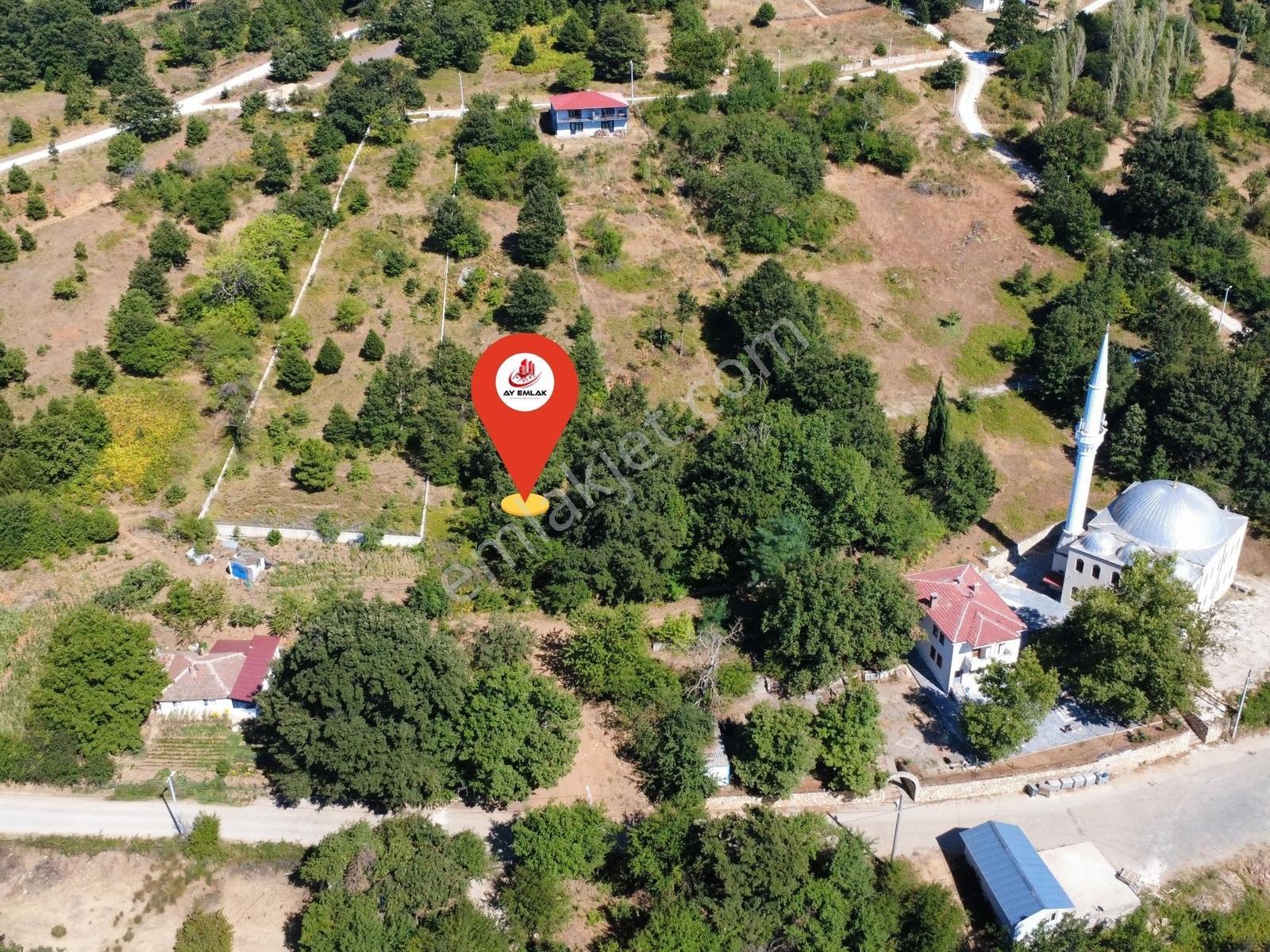 Ay Emlak'tan Armutlu Selimiye Köyü Mücavir Alan İçinde Tarla - Görsel 7