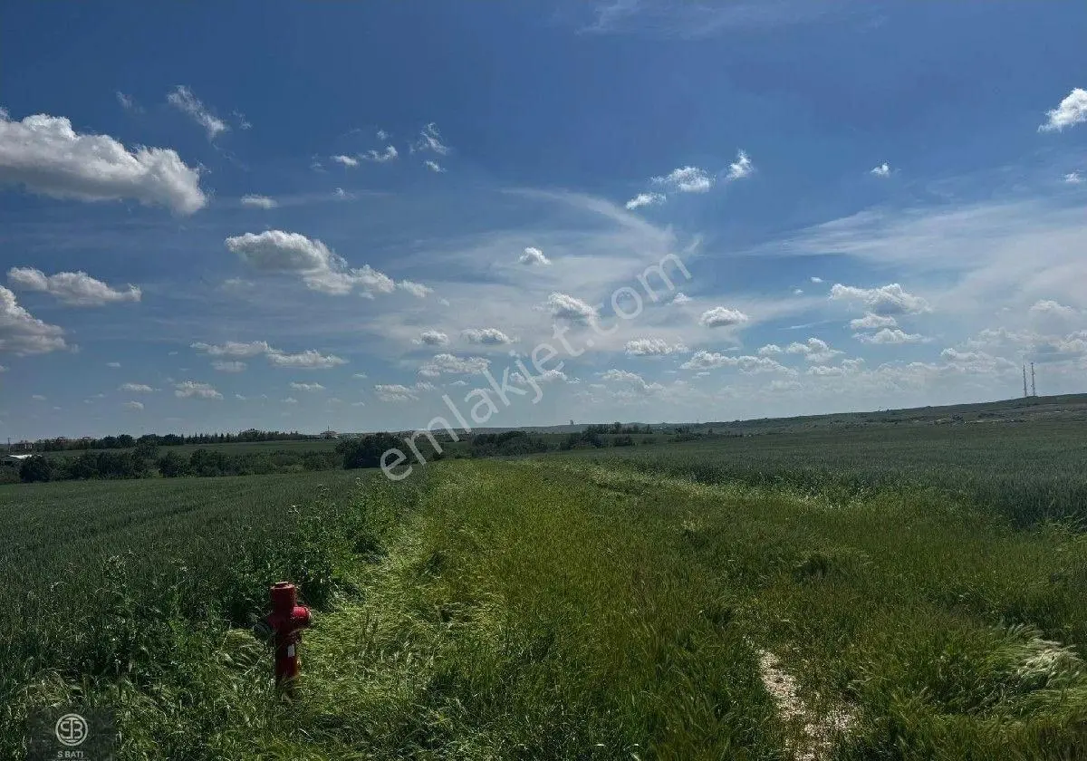 Edirne Lalapaşa Merkez'de Kiralık 5890 M² Arsa - Görsel 2