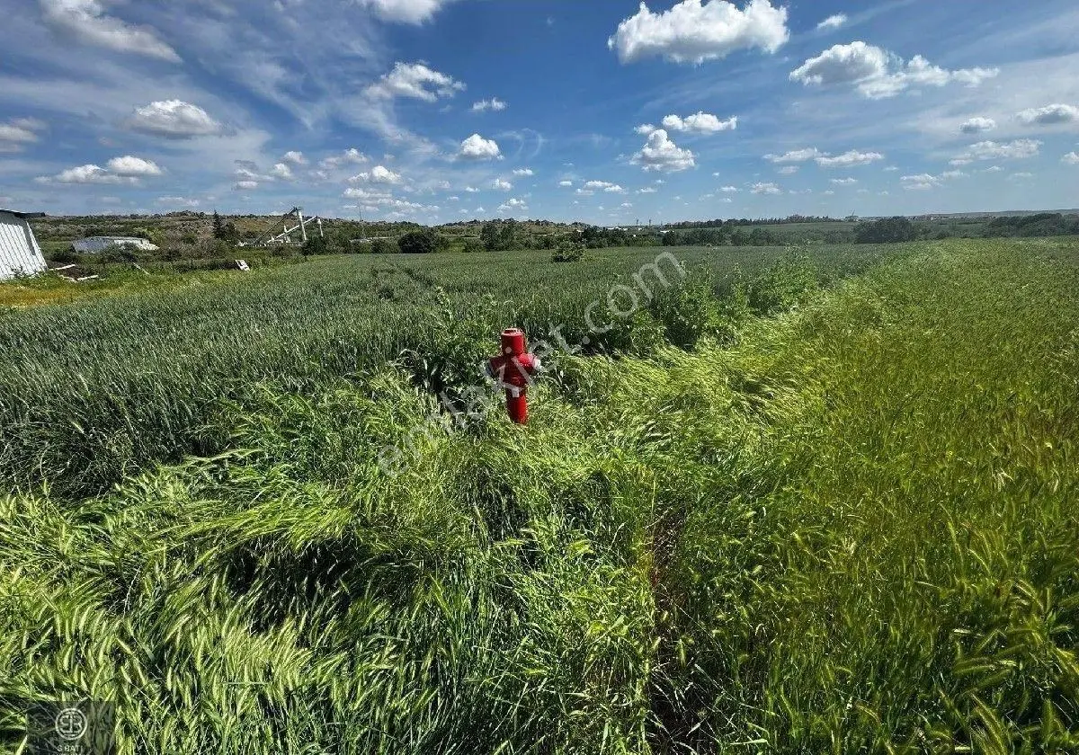 Edirne Lalapaşa Merkez'de Kiralık 5890 M² Arsa - Görsel 10