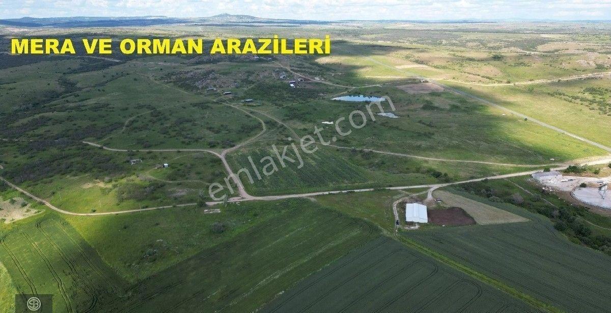 Edirne Lalapaşa Merkez'de Kiralık 5890 M² Arsa - Görsel 7