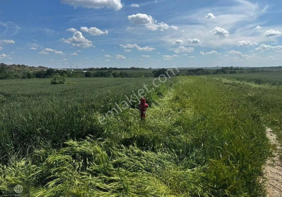 Edirne Lalapaşa Merkez'de Kiralık 5890 M² Arsa - Görsel 9