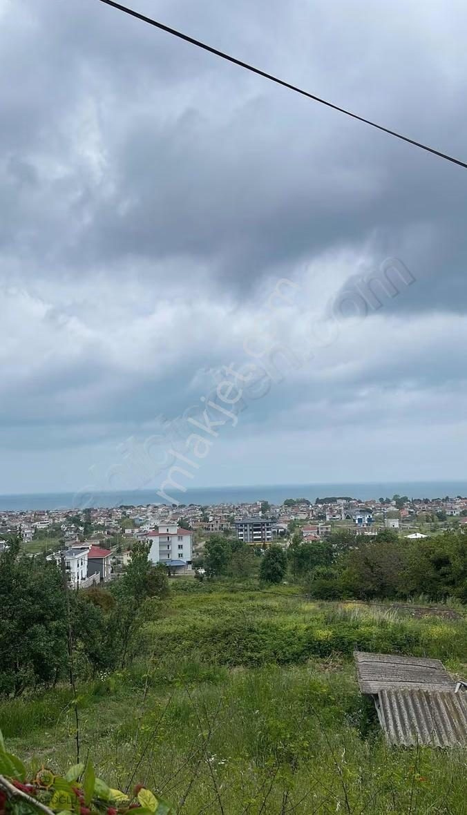 Çatalçamda Deniz Manzaralı 336m2 4kat İmarlı Satılık Fırsat Arsa - Görsel 3