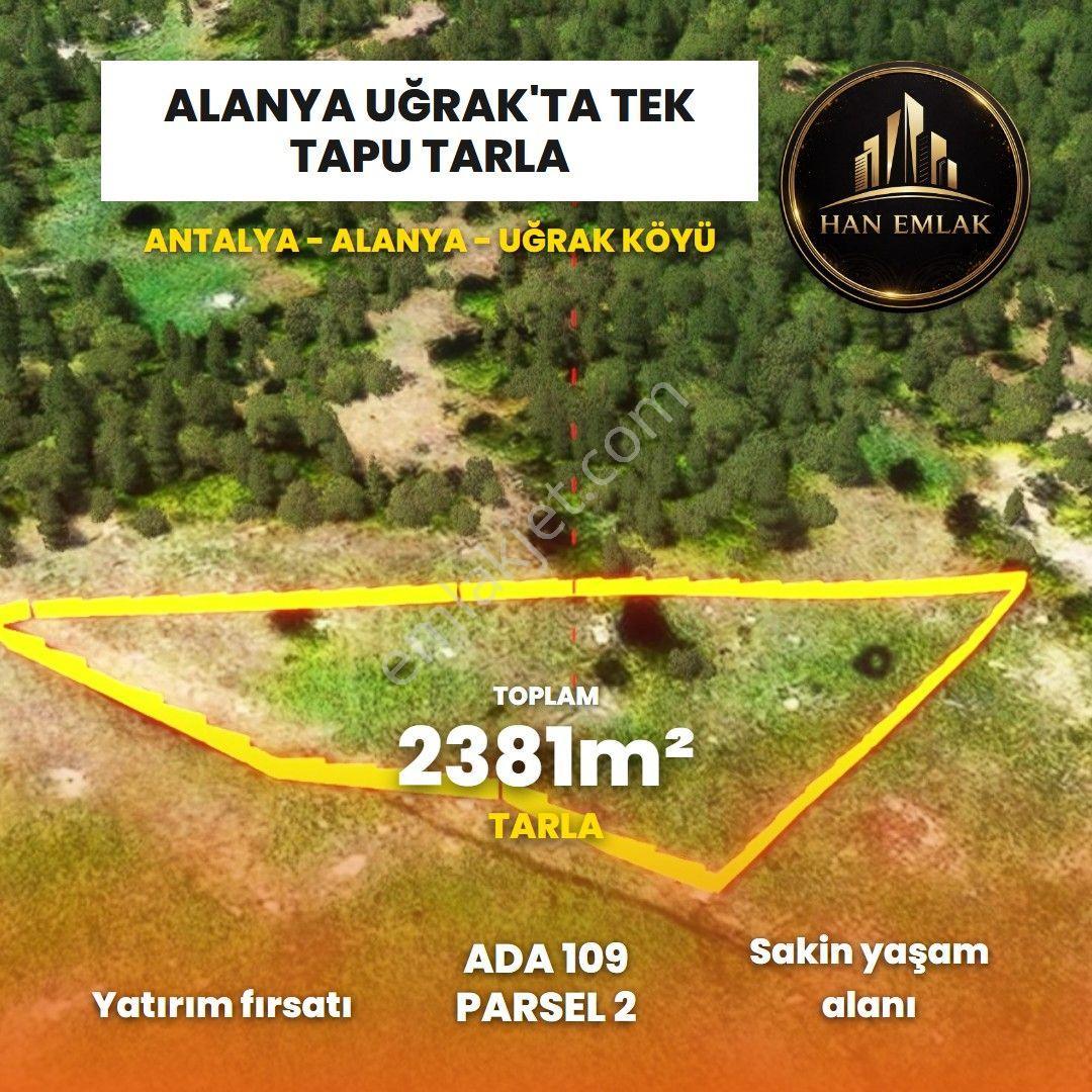 Alanya Uğrak Yaylası 2380 Mt 2 Satılık Tarla - Görsel 8