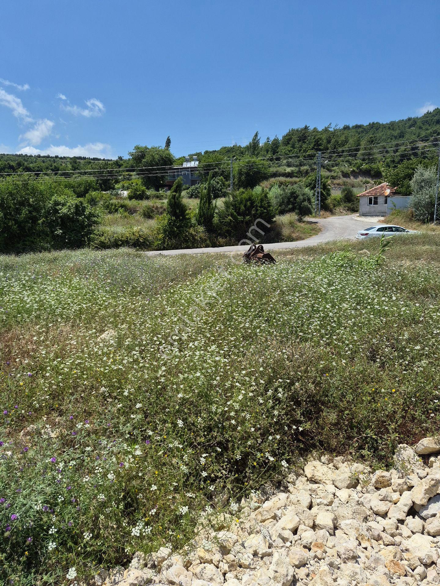 Hatay Samandağ Doğa Manzaralı - Görsel 11