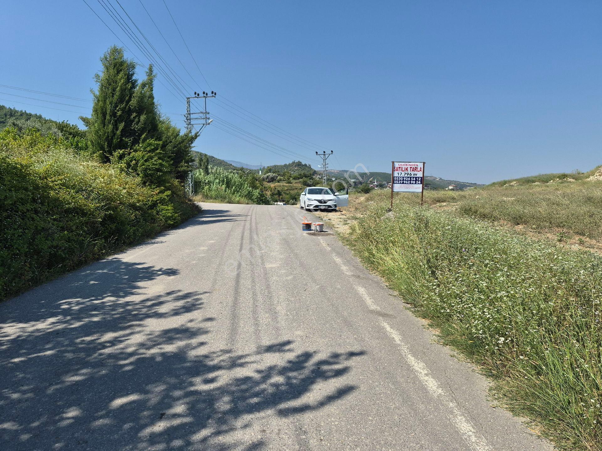 Hatay Samandağ Doğa Manzaralı - Görsel 5