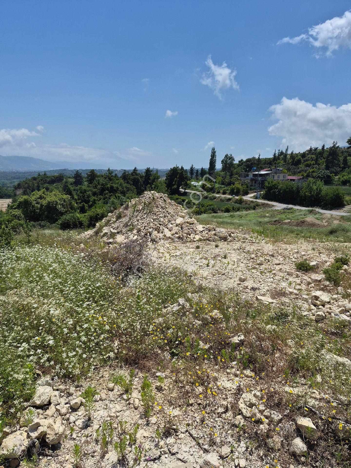 Hatay Samandağ Doğa Manzaralı - Görsel 18