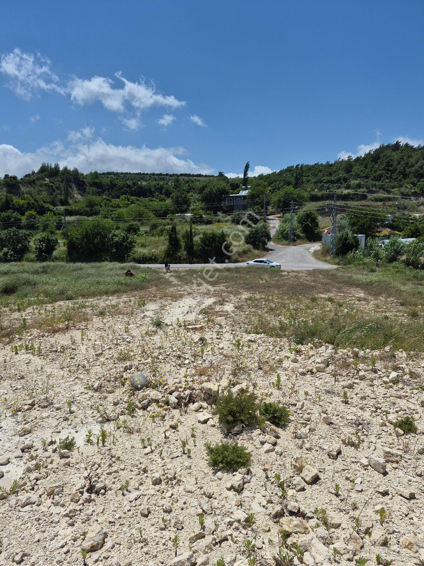 Hatay Samandağ Doğa Manzaralı - Görsel 23