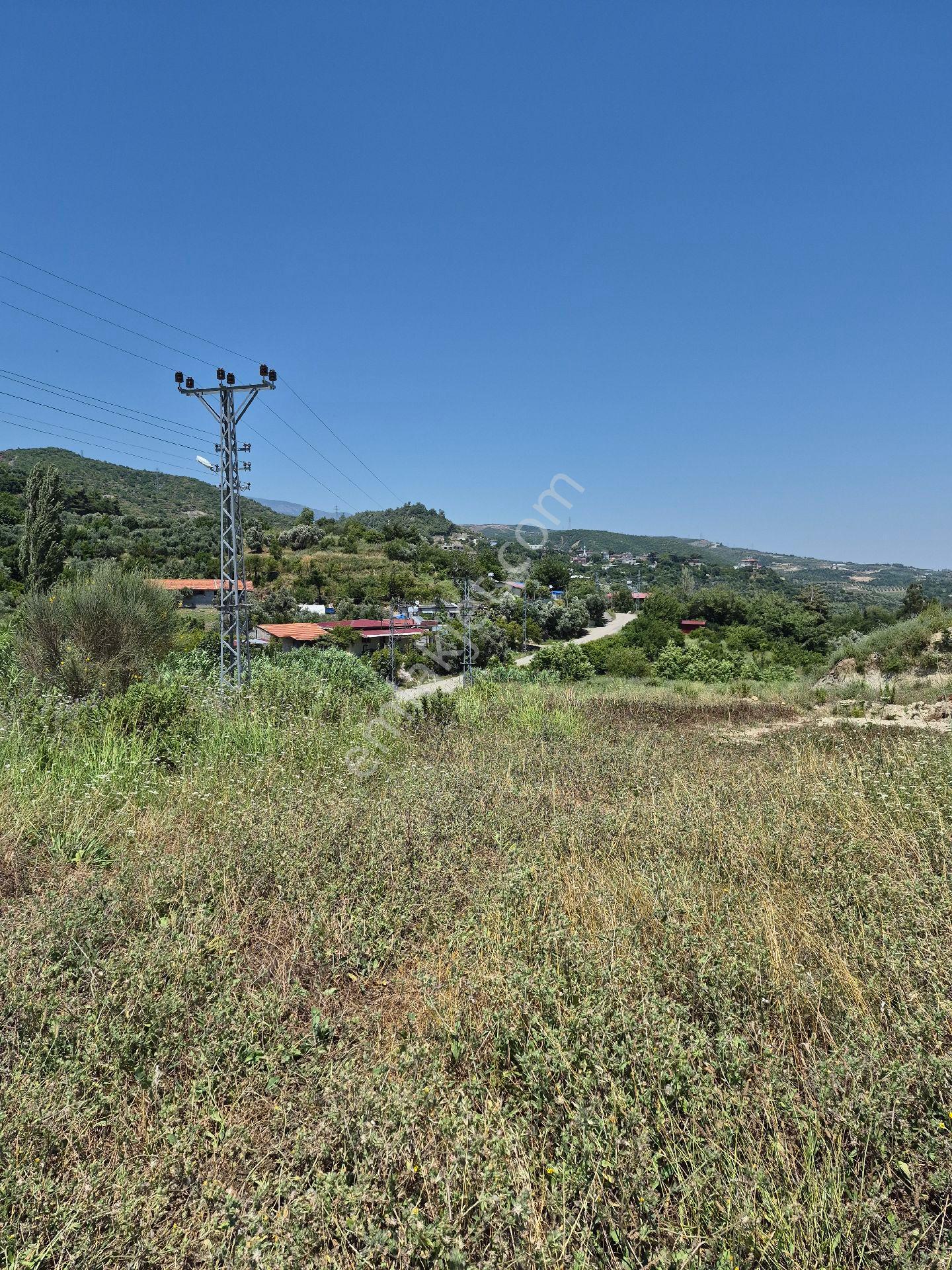 Hatay Samandağ Doğa Manzaralı - Görsel 28