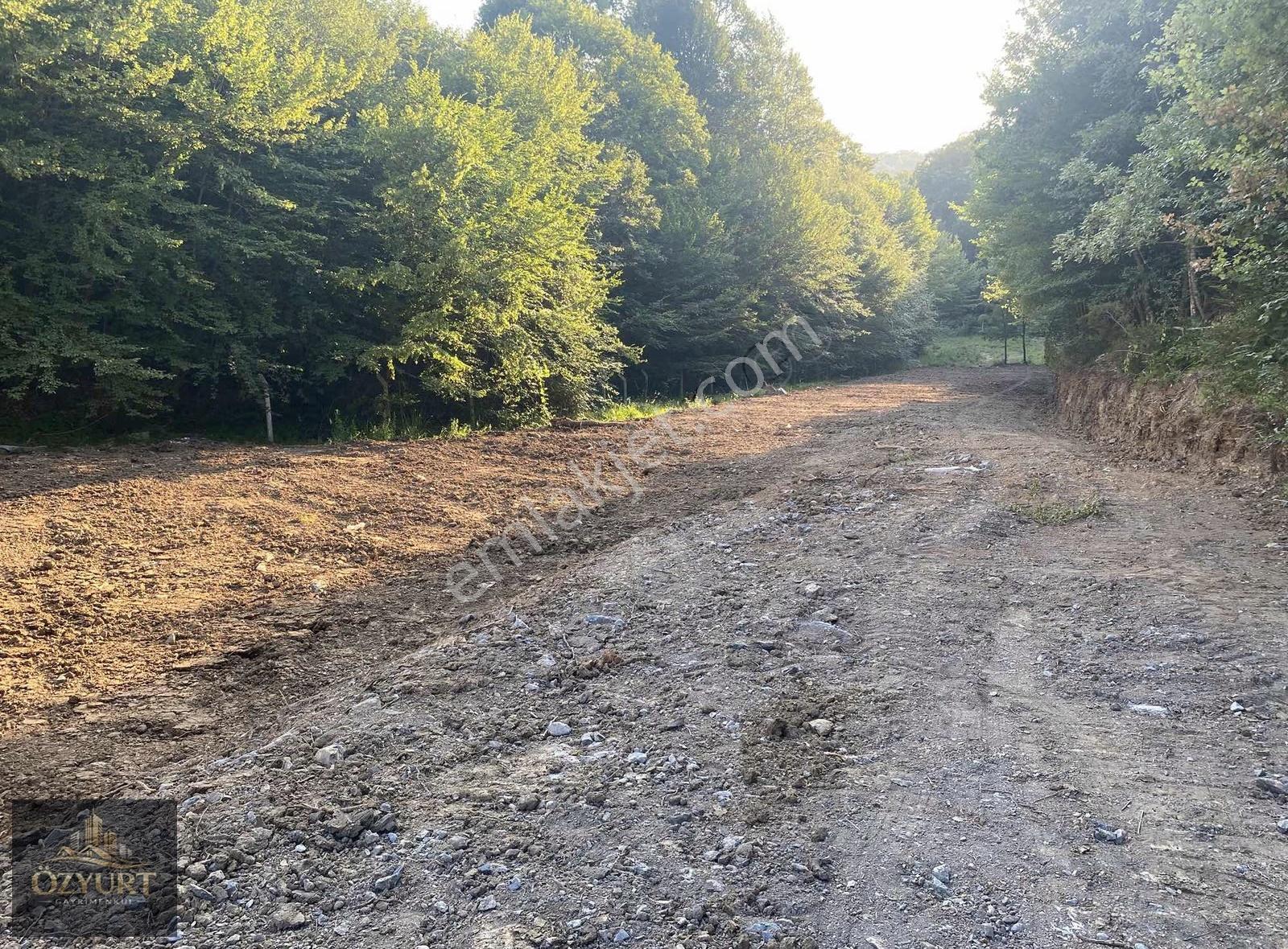 Şile Yazımanayırda Şebeke Suyu Hazır, Ulaşımı Kolay 500 M² Arsa - Görsel 5