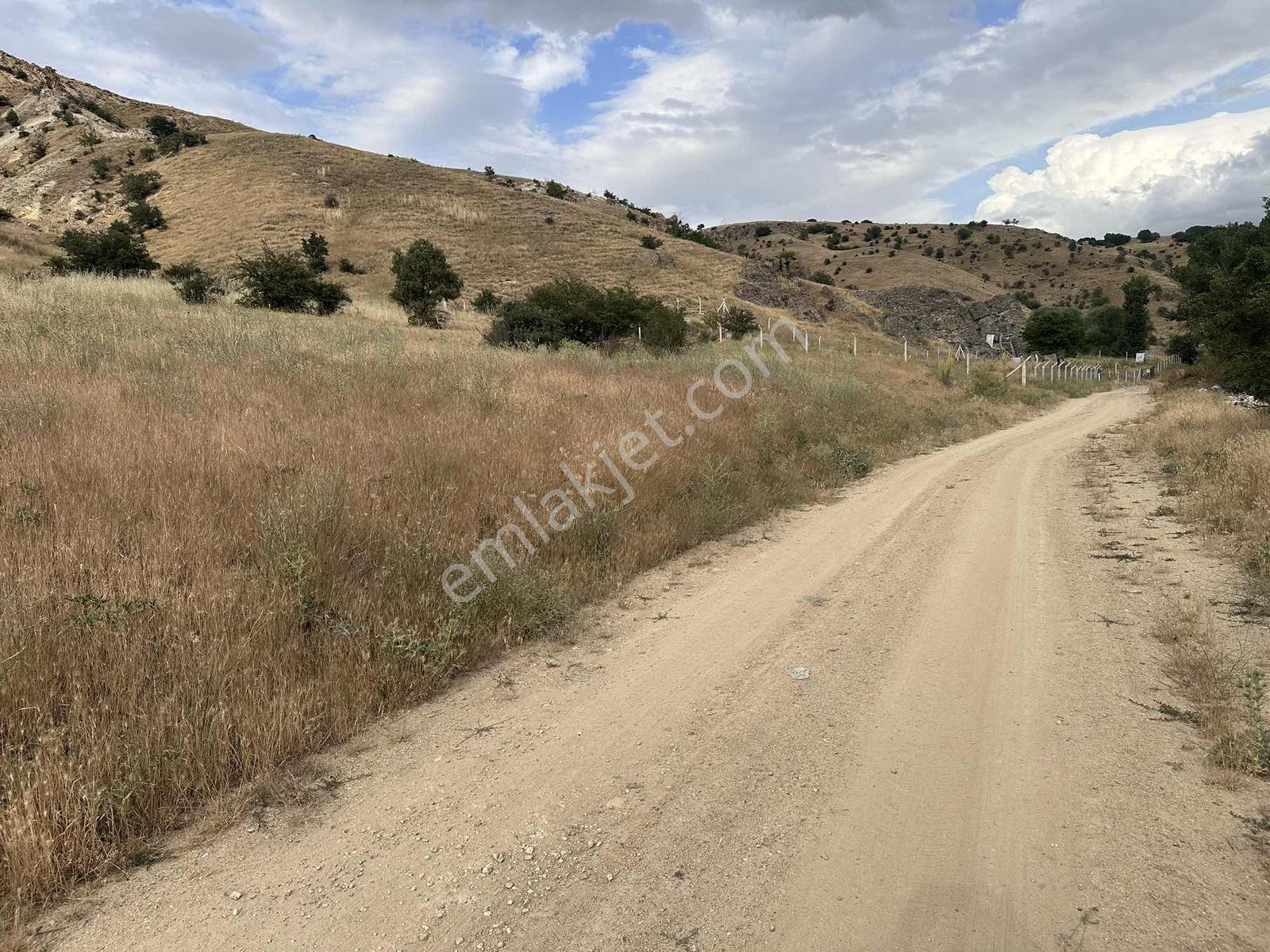 Giçik'ta Yol Kenarı 63 M2 Hisse Hem Bahçe Hem Yatırım İçin Uygun