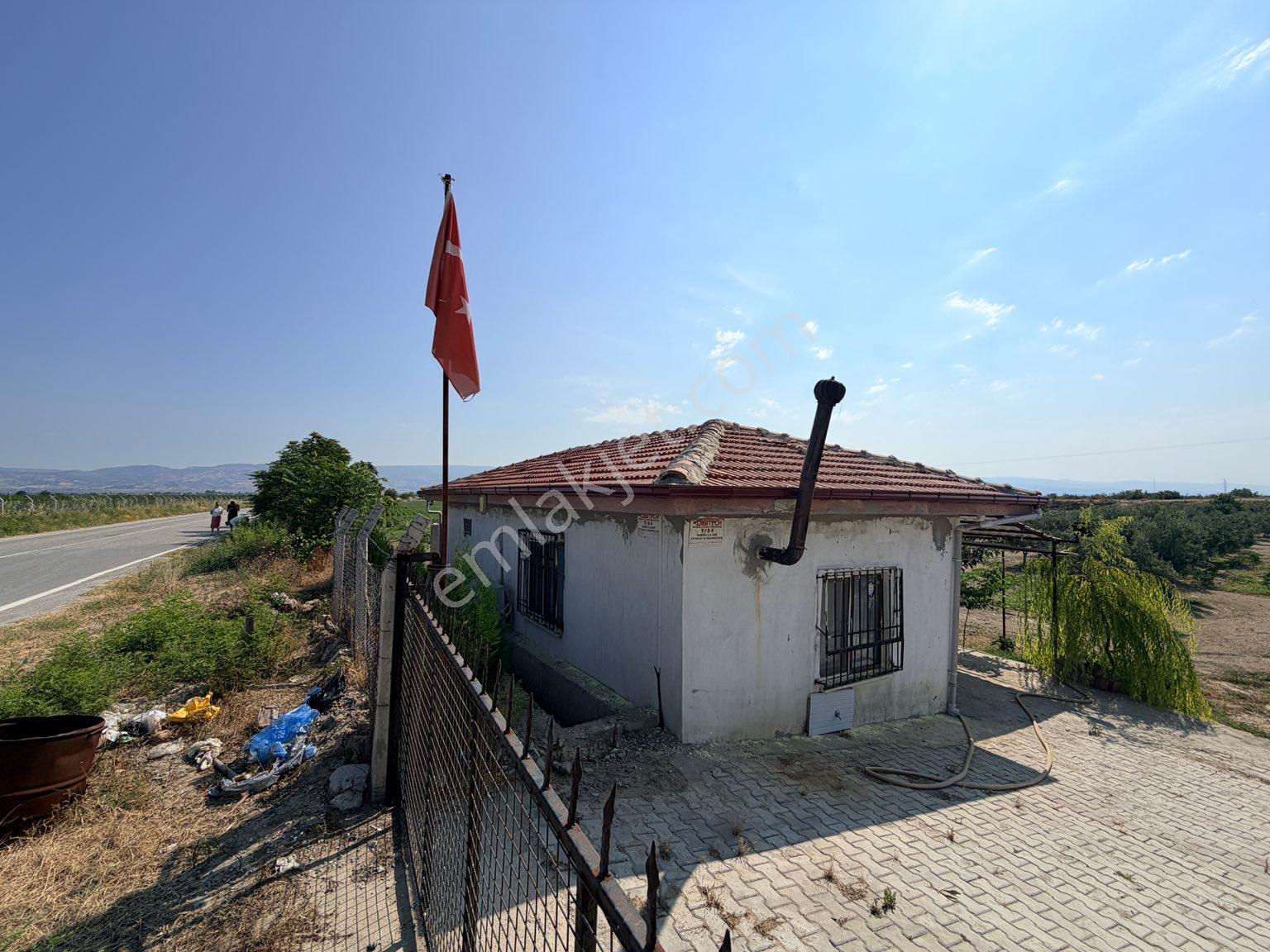 Sığma’da Elektriği Ve Suyu Olan Köşe Anayol Üstü Meyve Bahçemiz - Görsel 2