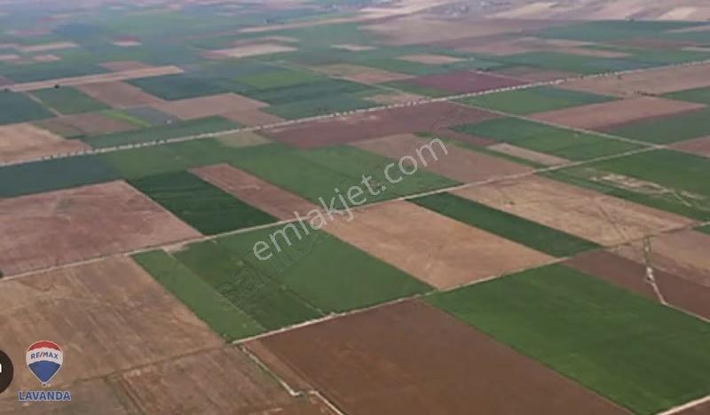 Remax Lavanda'dan Ergene Ahimehmet Mahallesinde Satılık Tarla