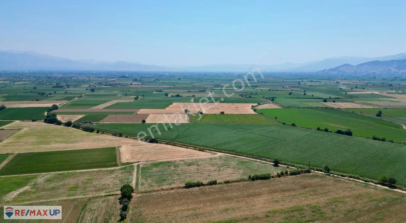 Ödemiş İlkkurşun Mh. Satılık 12500 M² Tek Tapu Tarla - Görsel 5