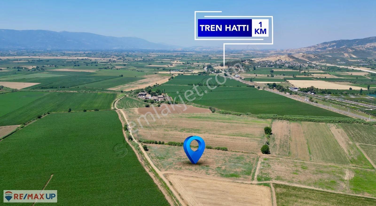 Ödemiş İlkkurşun Mh. Satılık 12500 M² Tek Tapu Tarla - Görsel 2