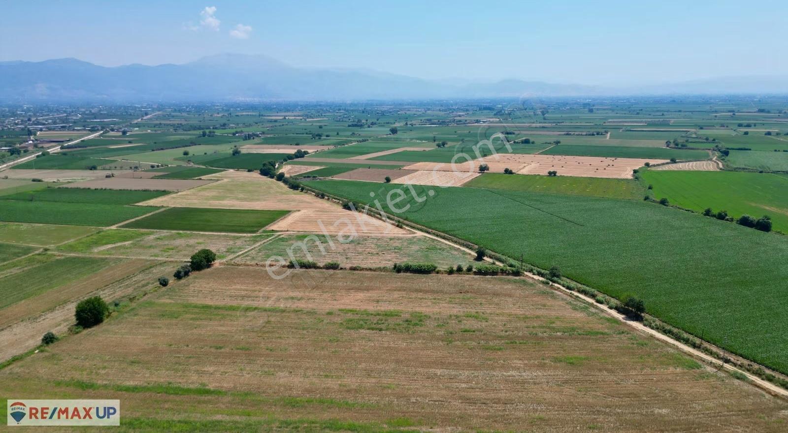 Ödemiş İlkkurşun Mh. Satılık 12500 M² Tek Tapu Tarla - Görsel 13