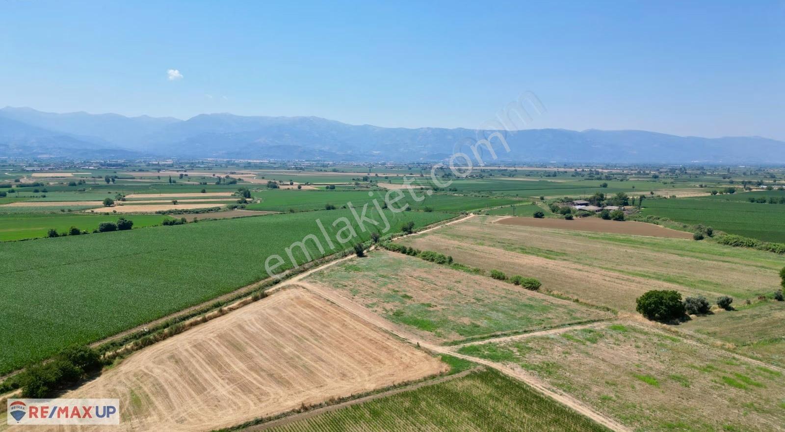 Ödemiş İlkkurşun Mh. Satılık 12500 M² Tek Tapu Tarla - Görsel 9