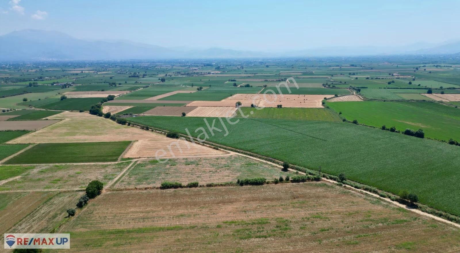 Ödemiş İlkkurşun Mh. Satılık 12500 M² Tek Tapu Tarla - Görsel 6