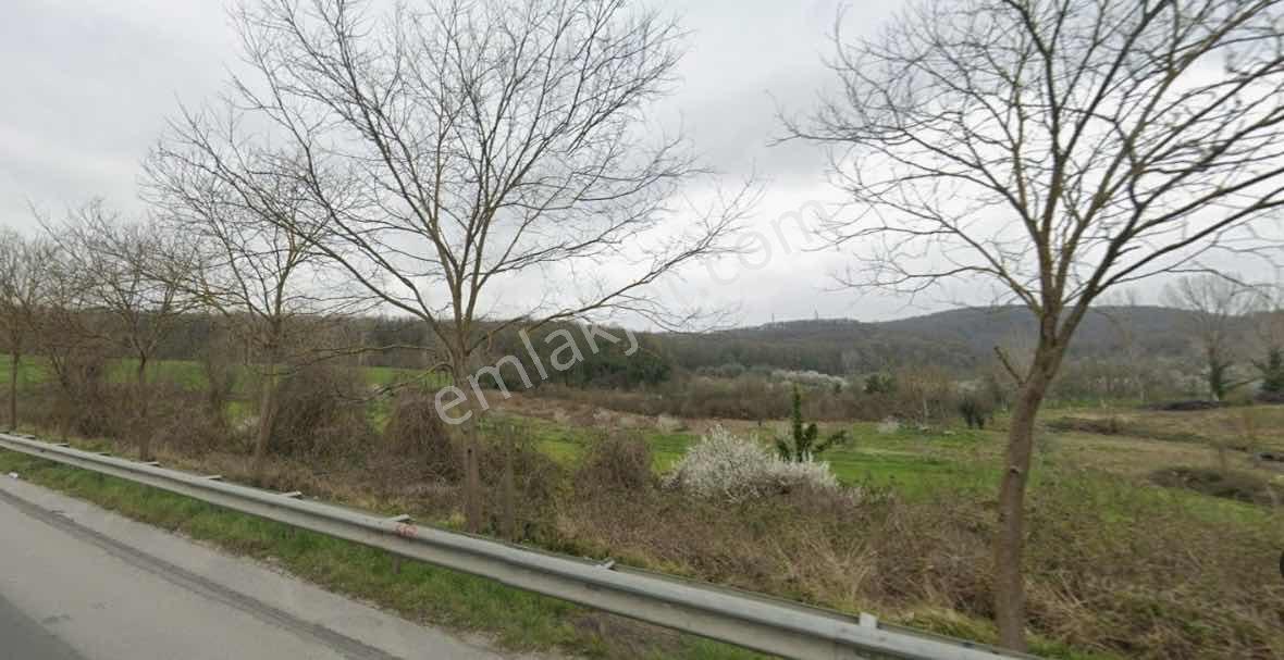 Kartepe Uzuntarlada Yatırımlık Satılık Ormanyaya Komşu Tarla - Görsel 9