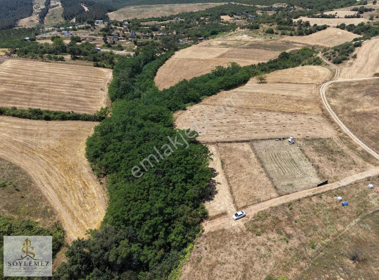 Yenişehir Koyunhisar Bölgenin En Uygunu 1.250 M2 Hazır Arazi - Görsel 17