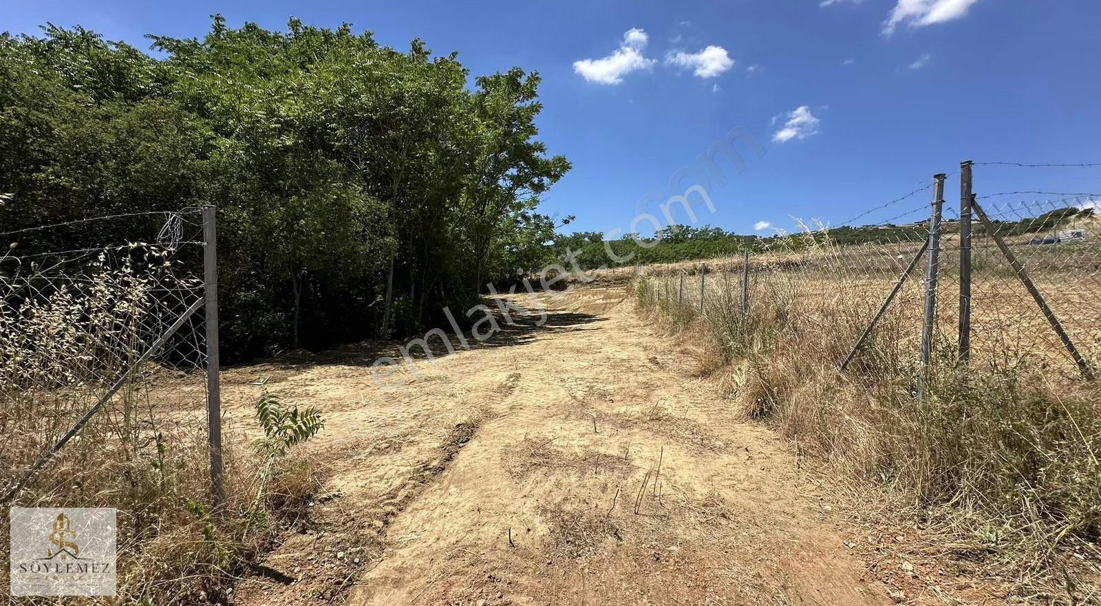 Yenişehir Koyunhisar Bölgenin En Uygunu 1.250 M2 Hazır Arazi - Görsel 20