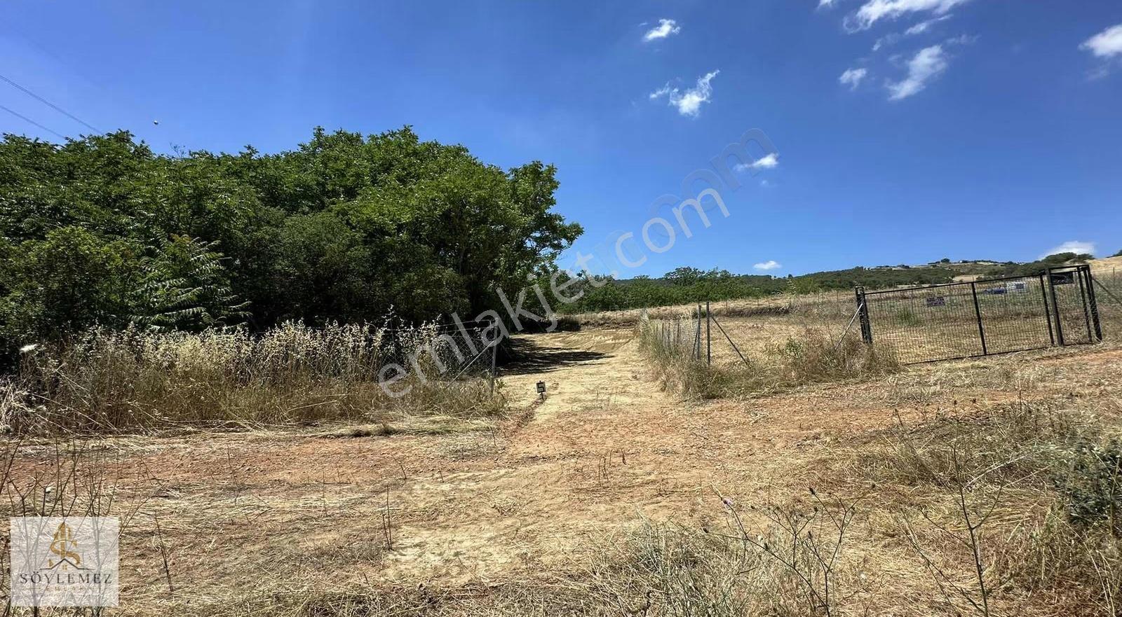 Yenişehir Koyunhisar Bölgenin En Uygunu 1.250 M2 Hazır Arazi - Görsel 5