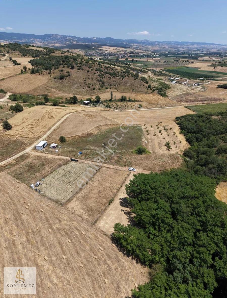 Yenişehir Koyunhisar Bölgenin En Uygunu 1.250 M2 Hazır Arazi - Görsel 7