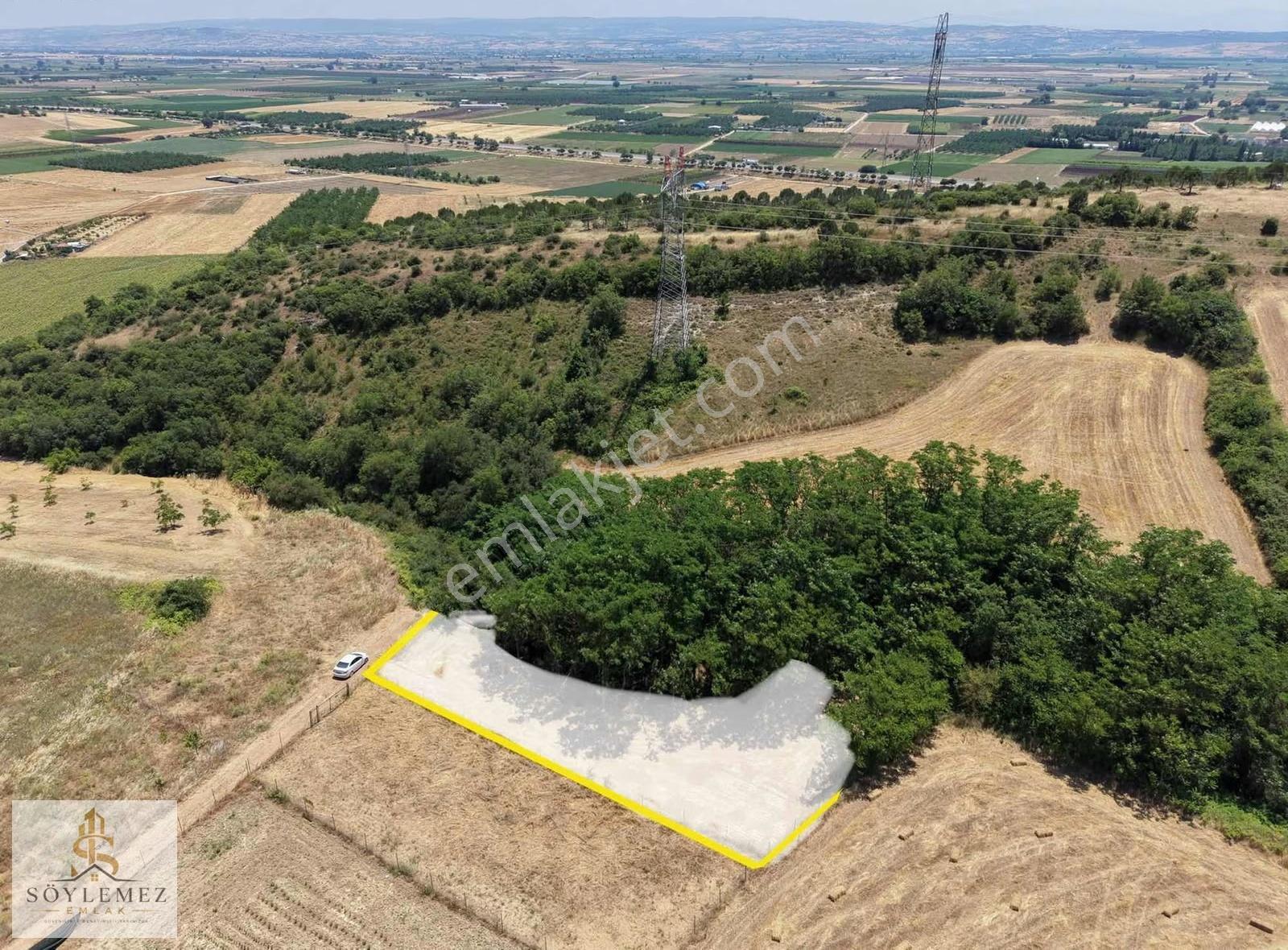Yenişehir Koyunhisar Bölgenin En Uygunu 1.250 M2 Hazır Arazi - Görsel 15