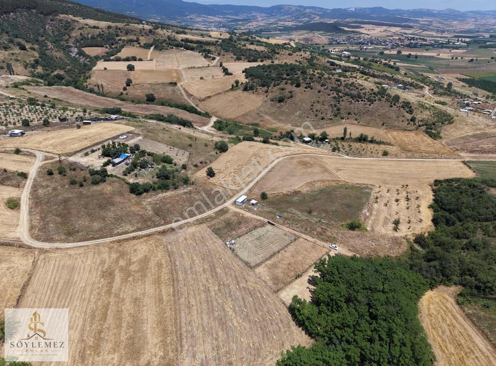 Yenişehir Koyunhisar Bölgenin En Uygunu 1.250 M2 Hazır Arazi - Görsel 12