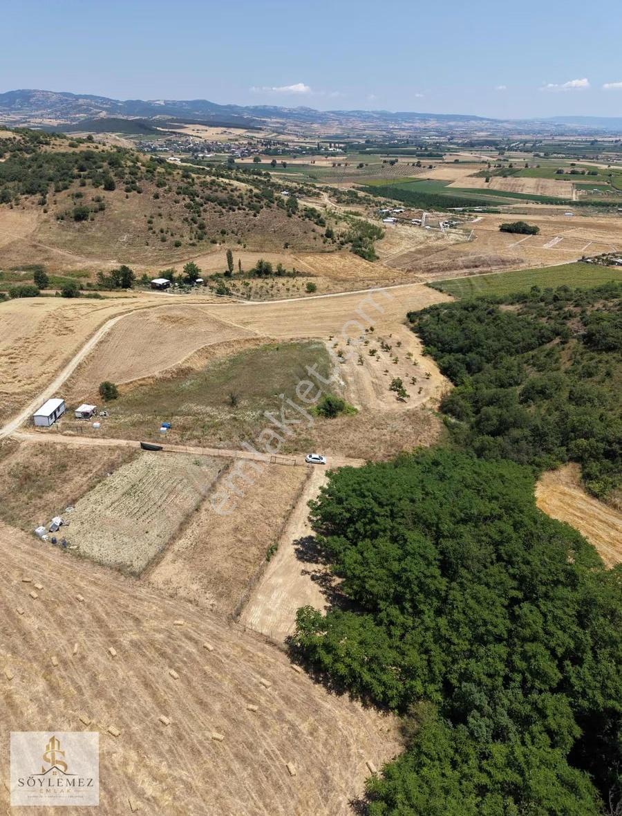 Yenişehir Koyunhisar Bölgenin En Uygunu 1.250 M2 Hazır Arazi - Görsel 22