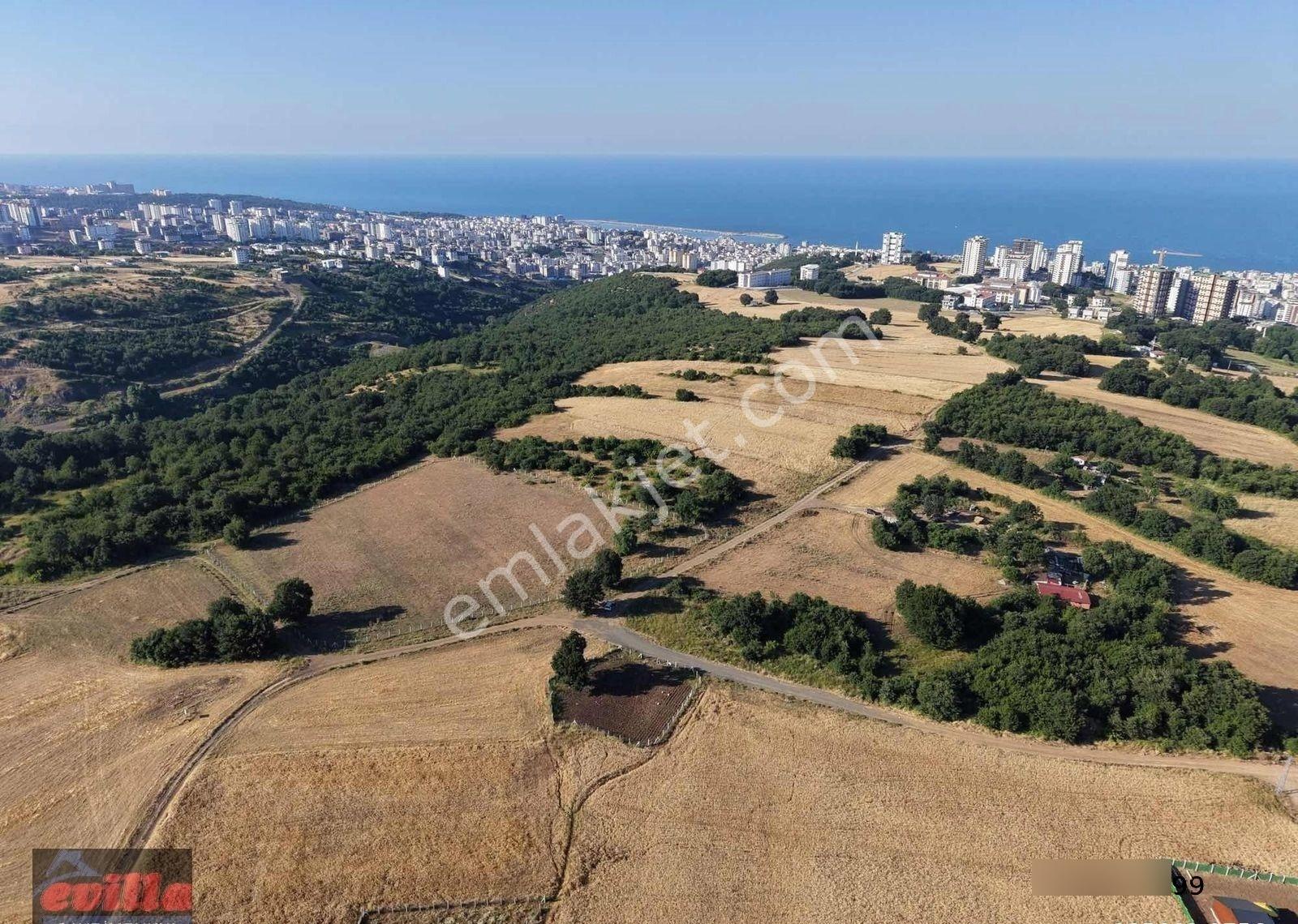 Atakum Alanlı Satılık 391 M2 Villalık Arsa - Görsel 4