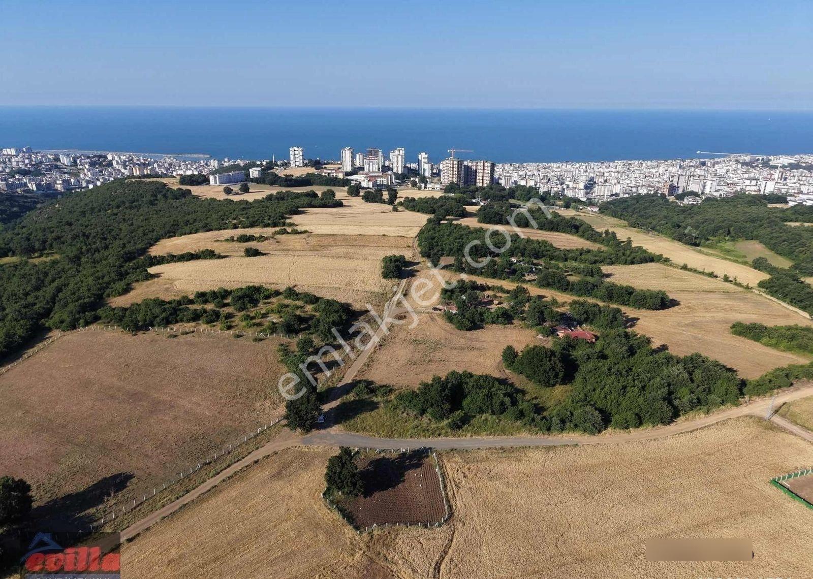 Atakum Alanlı Satılık 391 M2 Villalık Arsa - Görsel 6