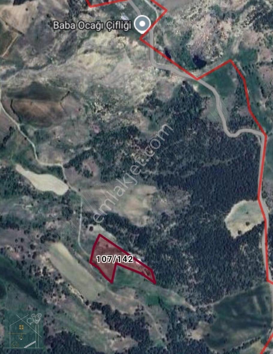İçinde Evi Olan Ceviz Bahcesi - Görsel 2