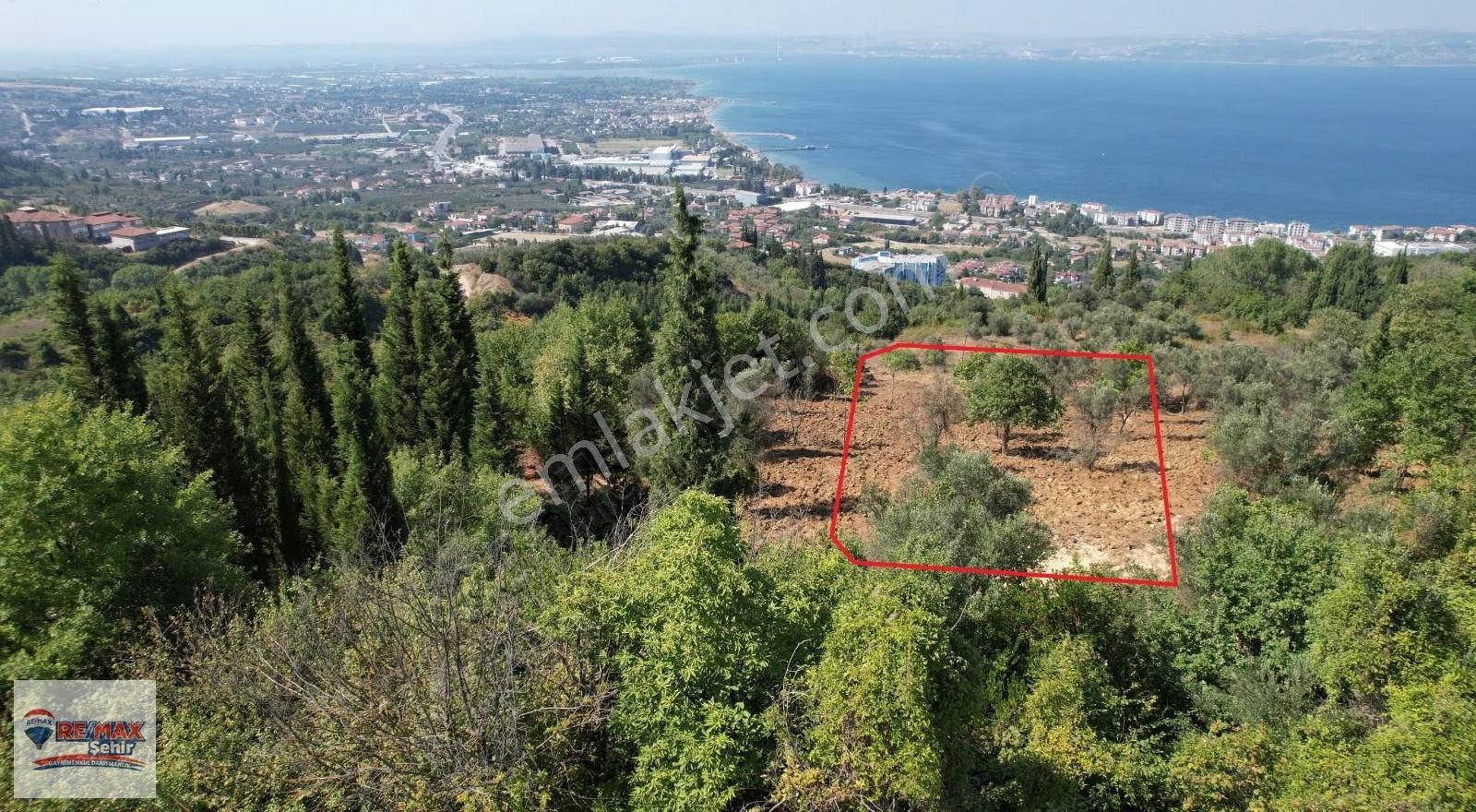 Karamürsel Dereköy'de 545 M2 Deniz Manzaralı Satılık Arsa - Görsel 4