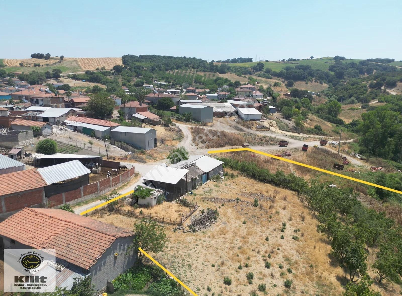 Söğütçayırda 200 Armut Ağacı Ve Büyükbaş Damı Olan Arsa - Görsel 4