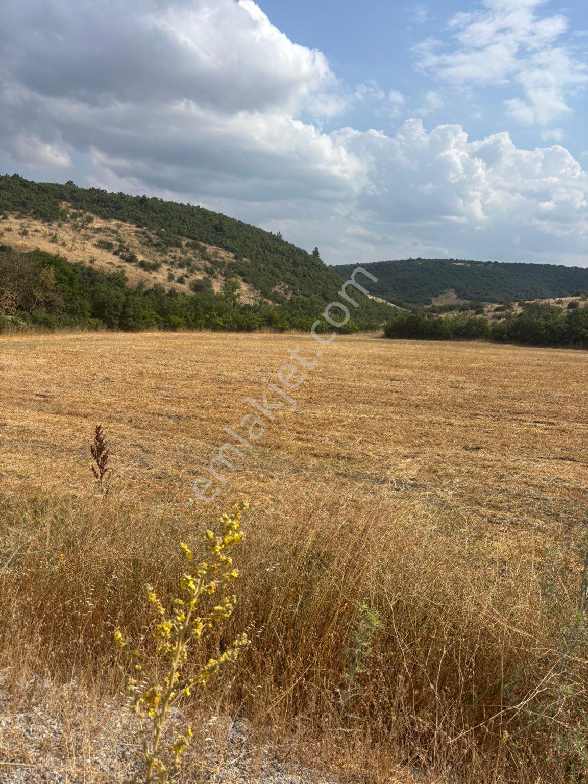 Balcity - Balıkesir | Altıeylül Küpeler'de 14.380 M² Asfalta Cephe %5 İmarlı Satılık Tarla - Görsel 11