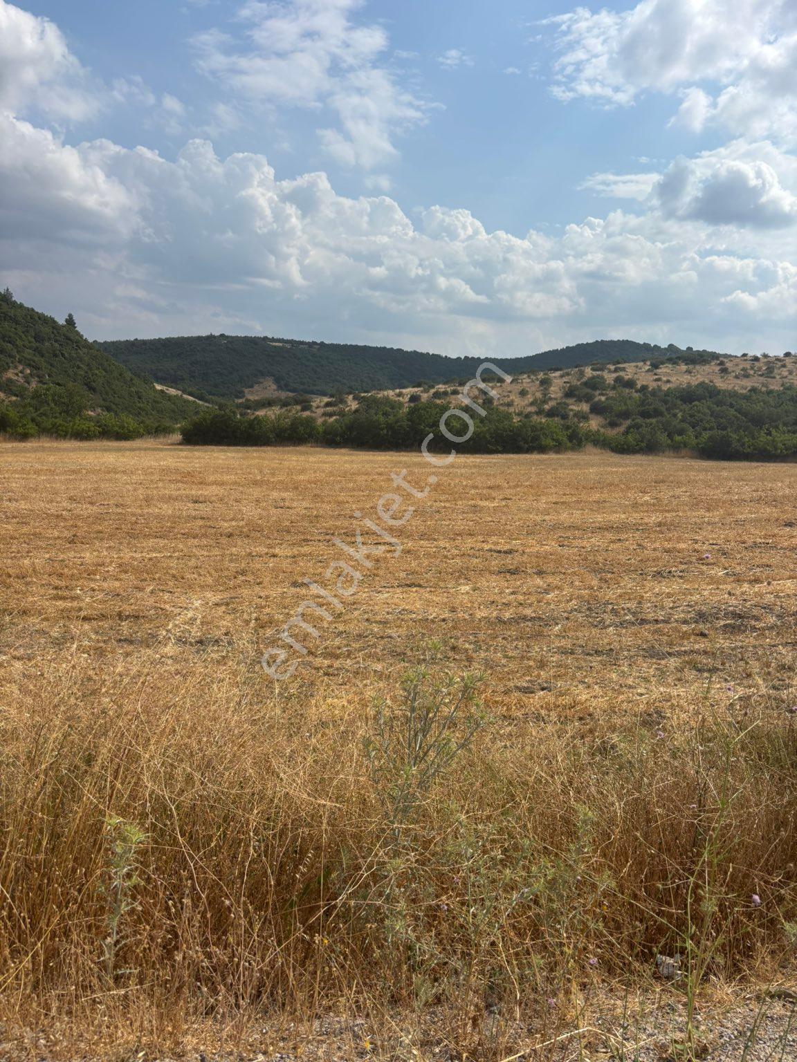 Balcity - Balıkesir | Altıeylül Küpeler'de 14.380 M² Asfalta Cephe %5 İmarlı Satılık Tarla - Görsel 13