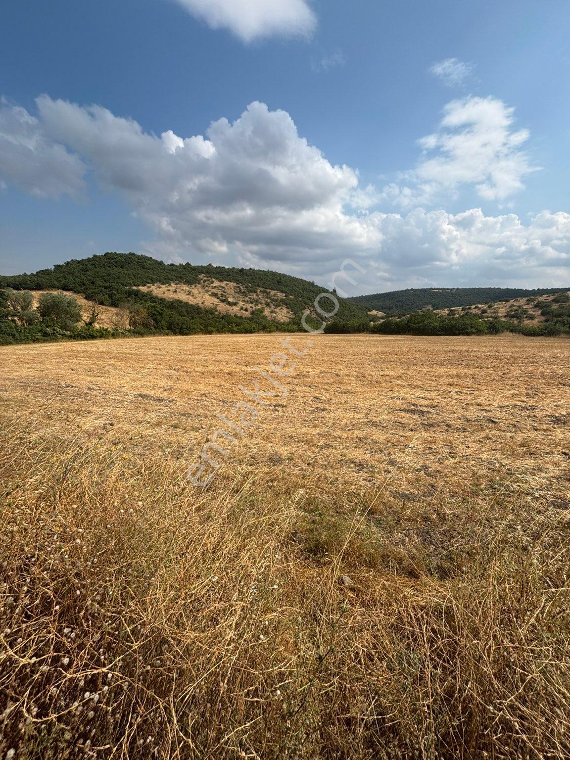 Balcity - Balıkesir | Altıeylül Küpeler'de 14.380 M² Asfalta Cephe %5 İmarlı Satılık Tarla - Görsel 17
