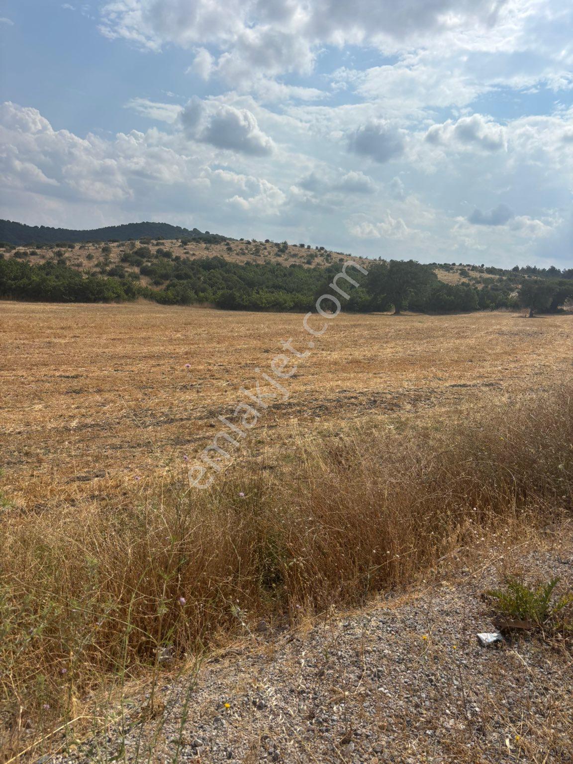 Balcity - Balıkesir | Altıeylül Küpeler'de 14.380 M² Asfalta Cephe %5 İmarlı Satılık Tarla - Görsel 8