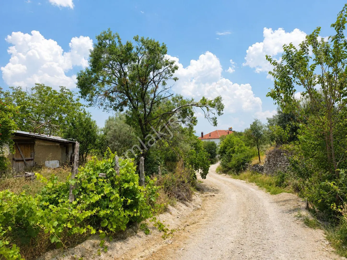 Korkuteli Çomaklı Mah. 476 M2 Arsa İçinde Restore Edilebilir Muhteşem Müstakil Kerpiç Ev Ve Avlusu - Görsel 3
