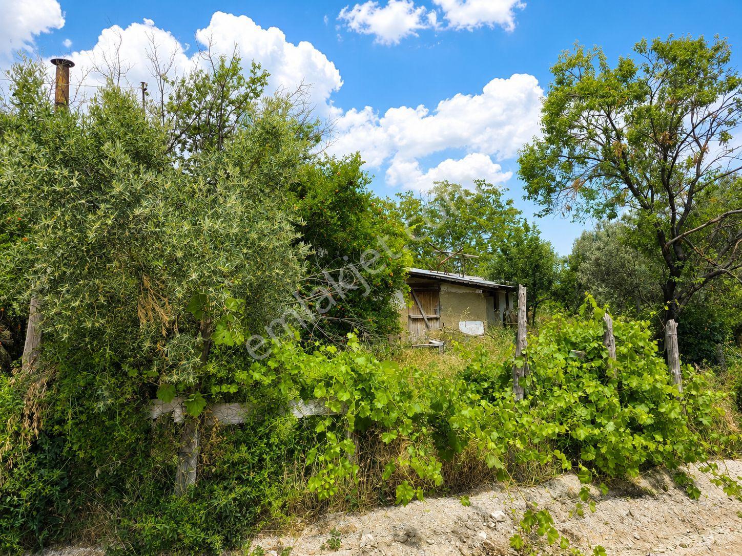 Korkuteli Çomaklı Mah. 476 M2 Arsa İçinde Restore Edilebilir Muhteşem Müstakil Kerpiç Ev Ve Avlusu